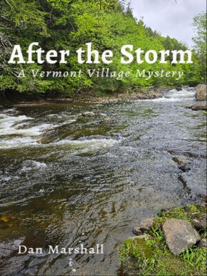 cover image of After the Storm